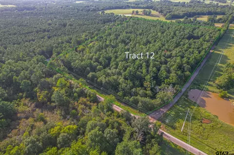 Tract 12 Cr 4224, Frankston, TX 75763