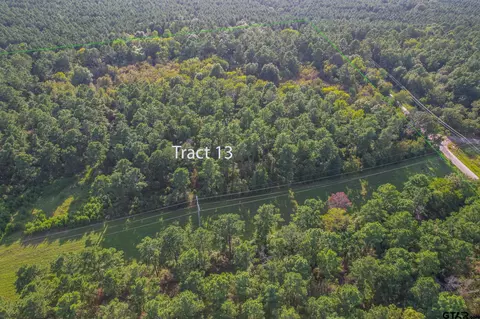 Tract 13 Cr 4224, Frankston, TX 75763