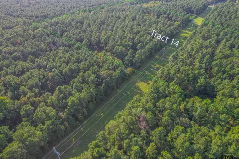 Tract 14 Cr 4224, Frankston, TX 75763