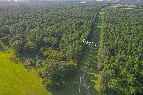 Tract 15 Cr 4224, Frankston, TX 75763