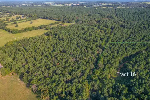 Tract 16 Cr 4224, Frankston, TX 75763