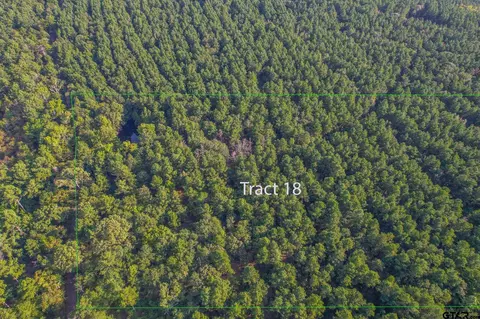 Tract 18 Cr 4224, Frankston, TX 75763