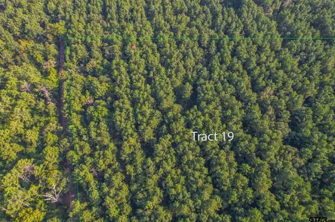 Tract 19 Cr 4224, Frankston, TX 75763