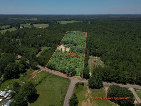 tbd Cr 244 Tract 3, Overton, TX 75684