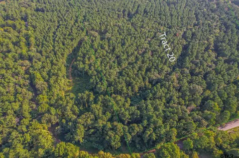 Tract 20 Cr 4224, Frankston, TX 75763