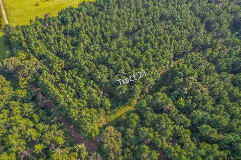 Tract 21 Cr 4224, Frankston, TX 75763