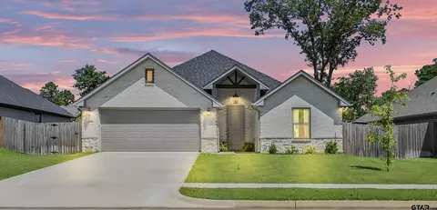 409 Deer Point Cv, Chandler, TX 75758