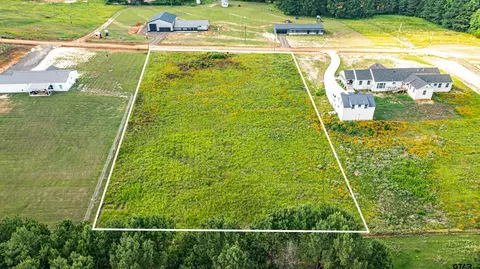 lot9 Jacklyn Ln, Diana, TX 75640