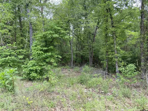 tbd Cr 3405, Jacksonville, TX 75766