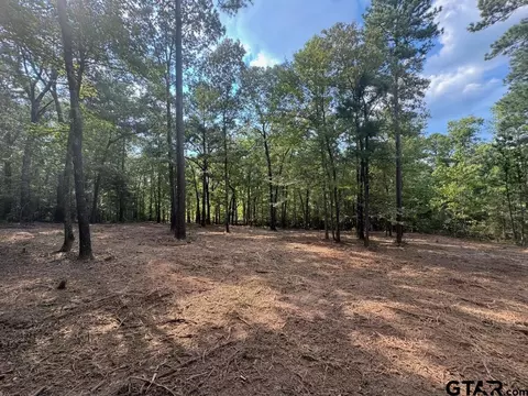 20381 Fm 16, Winona, TX 75792