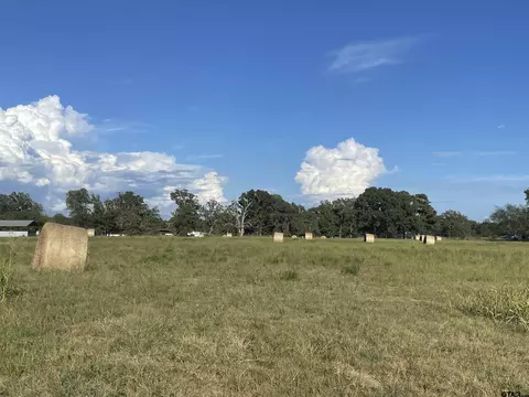 tbd Cr 4511, Avery, TX 75554