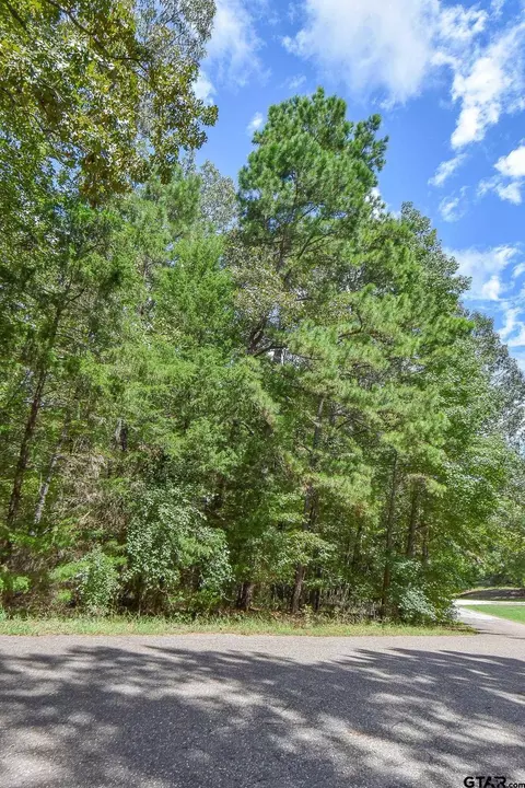 tbd Cr 2337 #LOT 1, Tyler, TX 75707