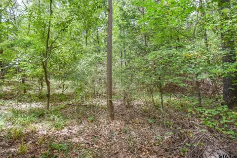 tbd Cr 2337 #LOT 2, Tyler, TX 75707