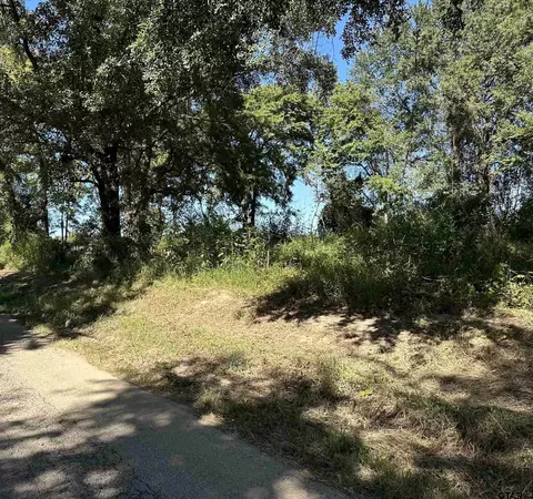 11260 Cr 353, Tyler, TX 75708 photo 4