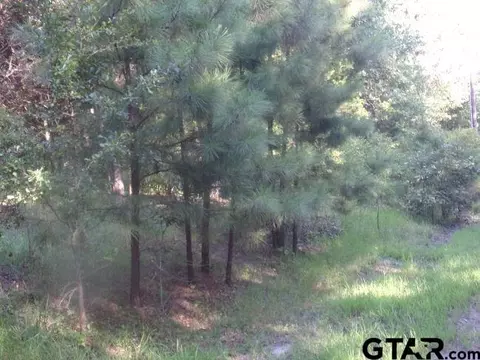 00 Whipporwill, Murchison, TX 75778 photo 1
