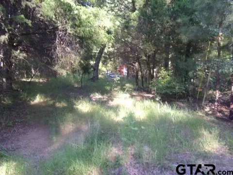 00 Whipporwill, Murchison, TX 75778 photo 7