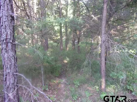 00 Whipporwill, Murchison, TX 75778 photo 2