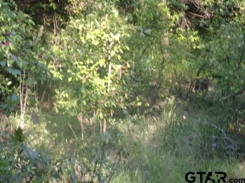 00 Whipporwill, Murchison, TX 75778 photo 6