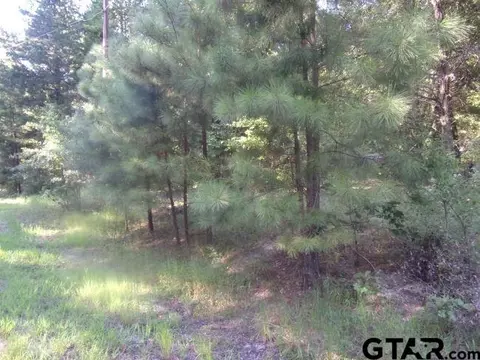 00 Whipporwill, Murchison, TX 75778 photo 5
