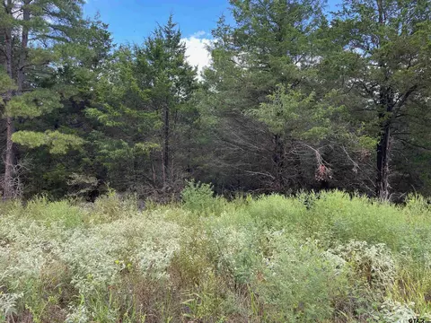 tbd Cedarpark Pl #LOT 17, Lindale, TX 75771