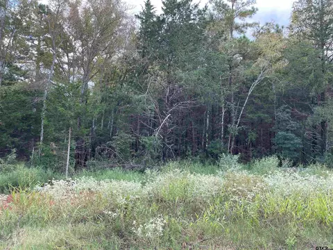 19461 Cedarpark Pl #LOT 23, Lindale, TX 75771