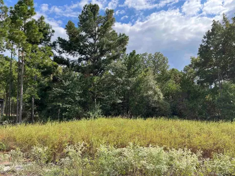 19363 Cedarpark Pl #LOT 33, Lindale, TX 75771
