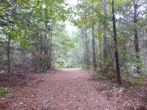 tbd 7078 Red Maple Rd, Big Sandy, TX 75755
