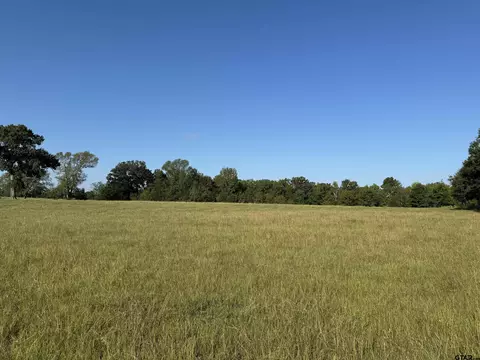 000 Cr 338, Lindale, TX 75771