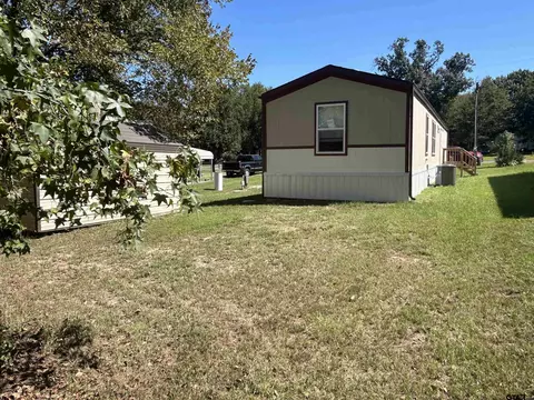 469 Comanche, Quitman, TX 75783 photo 10