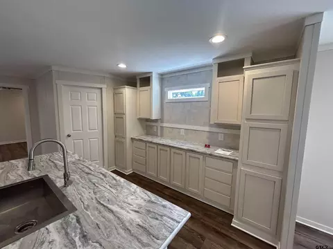 469 Comanche, Quitman, TX 75783 photo 25