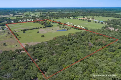 000 Vz County Road 3613, Edgewood, TX 75117