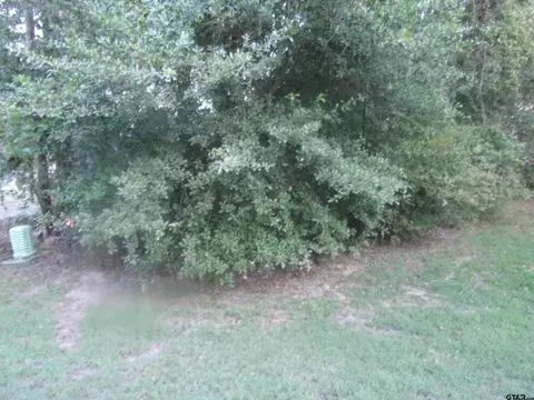 tbd E Walnut Trl, Murchison, TX 75778 photo 2