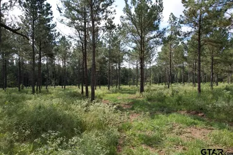 tbd County Road 374, Gladewater, TX 75647