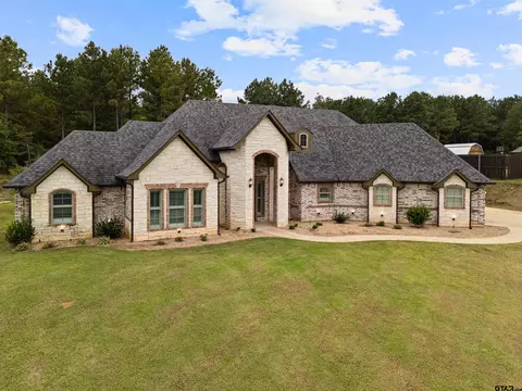 188 Bralan Dr, Diana, TX 75640