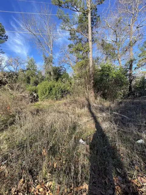 23158 Arrowhead, Flint, TX 75762 photo 4