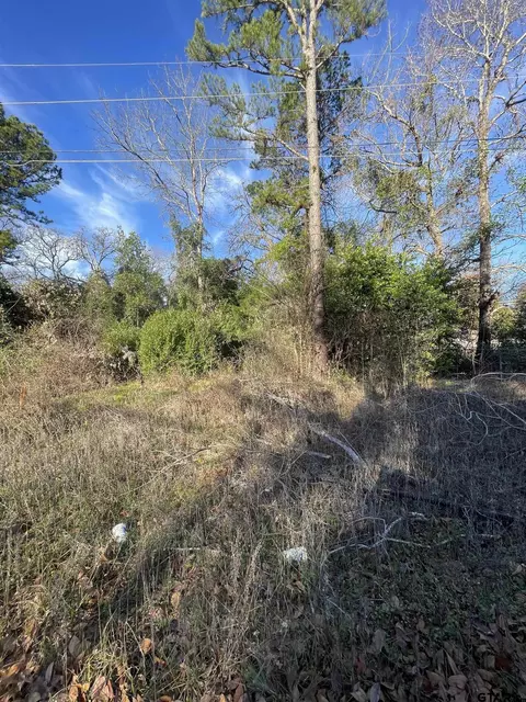 23158 Arrowhead, Flint, TX 75762 photo 2