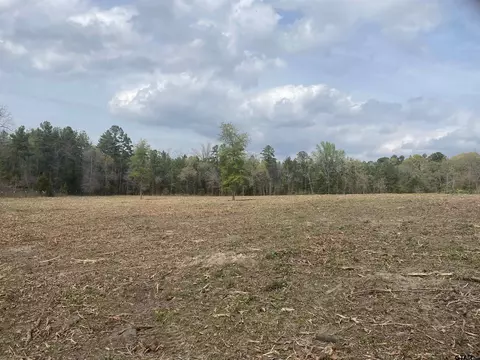 tbd Cr 2217 #LOT 5, Rusk, TX 75785