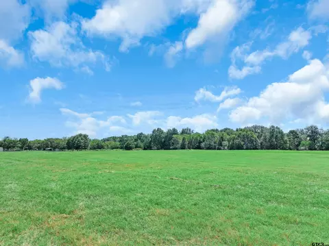 tbd Cr 4730, Winnsboro, TX 75494
