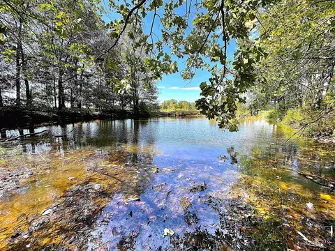 6875 Fm 44 W, Dekalb, TX 75559