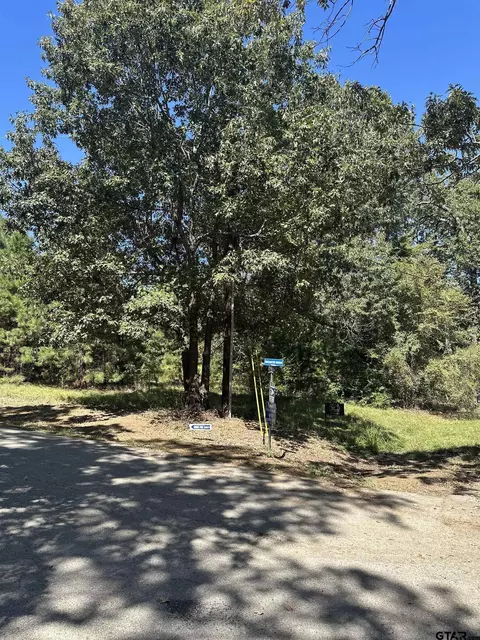 tbd Spring Creek Dr, Flint, TX 75762