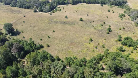 tbd Off Of Fm 2423, Grapeland, TX 75844
