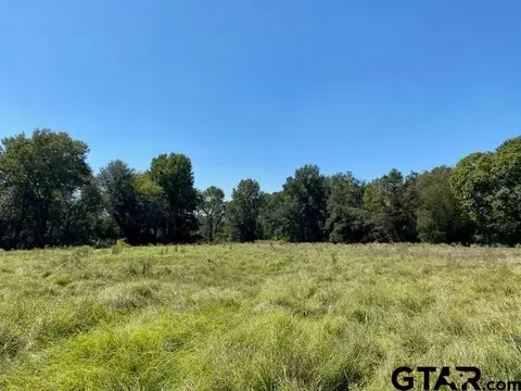 8170 Cr 3823, Murchison, TX 75778