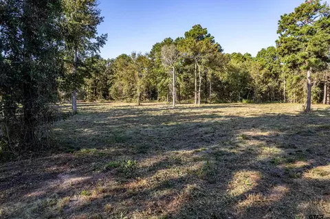 3155 Shadow Pine Dr Lot 77 L8, Larue, TX 75770