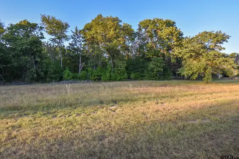 17818 Summerhill Cir, Flint, TX 75762