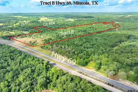 Tract B Hwy 69, Mineola, TX 75773