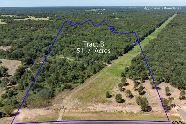 Tract B Hwy 69, Mineola, TX 75773
