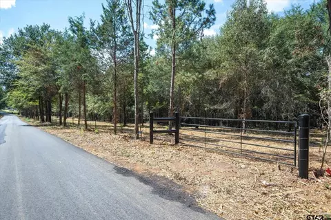 Tract 2 County Road 484, Mineola, TX 75773