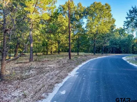 tbd Cr 4590, Winnsboro, TX 75494