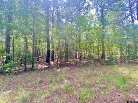 tbd Fm 861, Elkhart, TX 75839