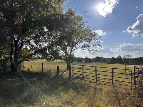 tbd Cr 2380, Alba, TX 75410